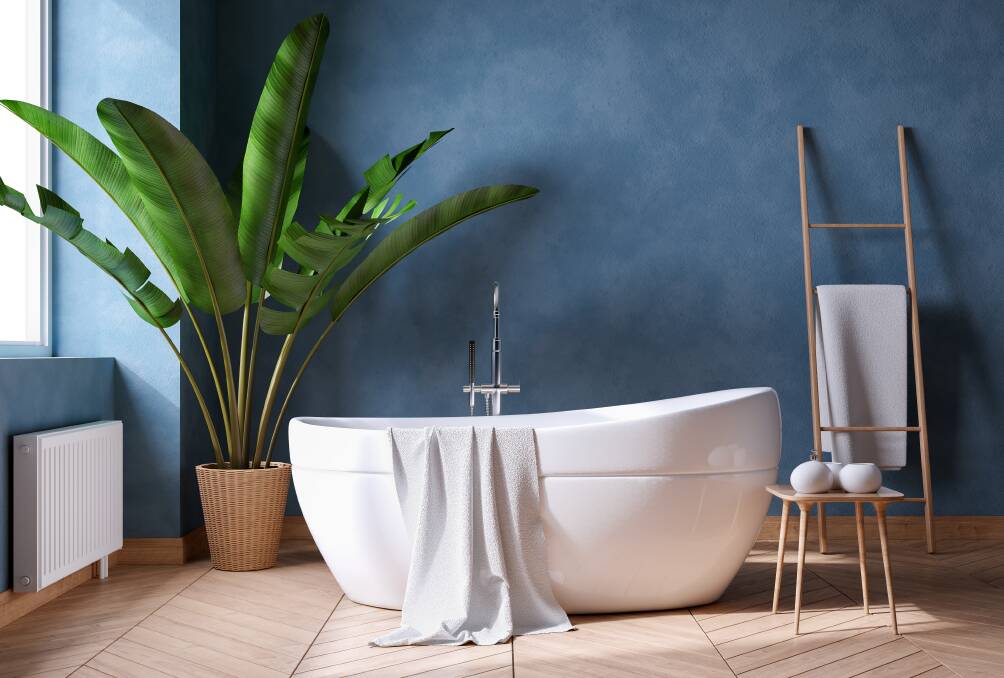 Greenery in a bathroom adds dimension and relaxing appeal. Picture Shutterstock